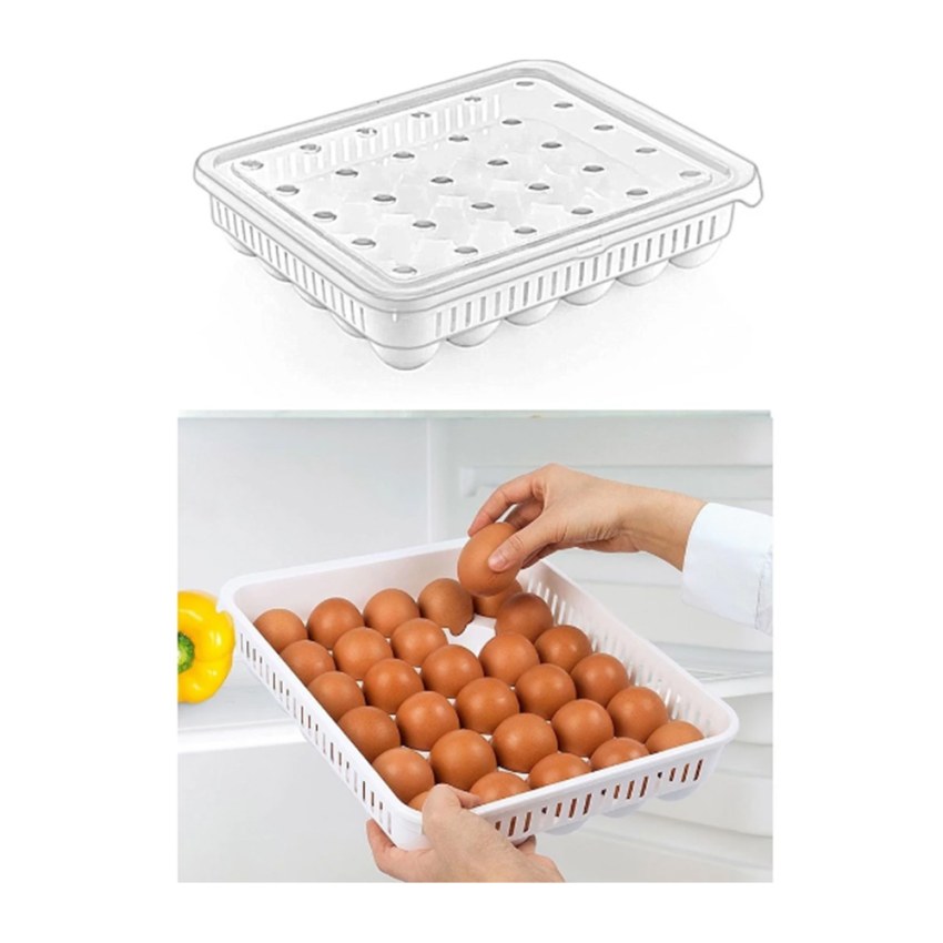 جای تخم مرغ