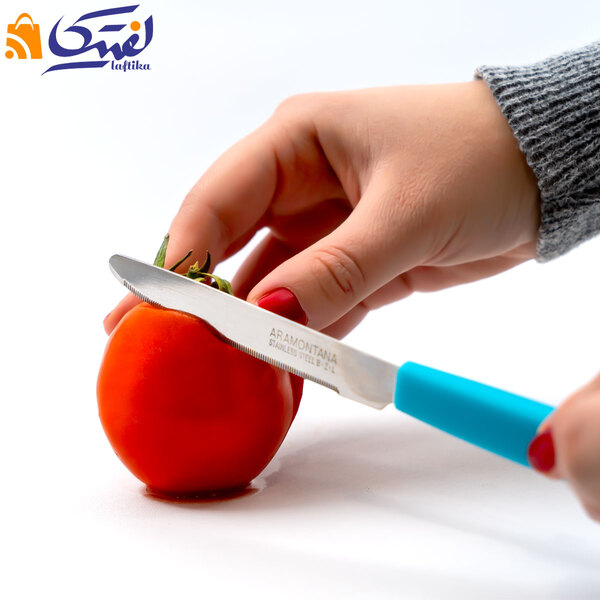 خرید بهترین مدل کارد میوه خوری آرامونتانا تضمینی