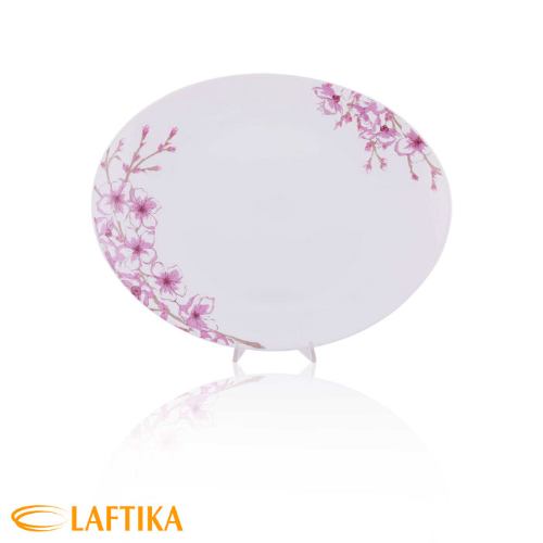 طراحی سرویس الین پارس اپال