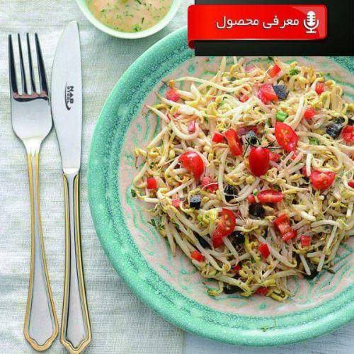 سرویس 57 پارچه قاشق و چنگال ناب استیل ونیز