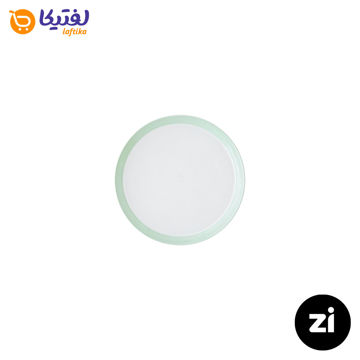 بشقاب تخت چینی زرین (Zi) فرم اس پاستل سبز سایز 12