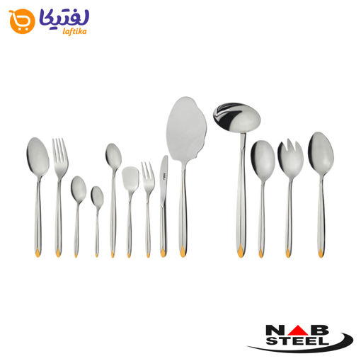 سرویس 116 پارچه ناب استیل مدل پالرمو دورطلایی جعبه چوبی