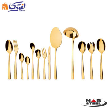 سرویس 116 پارچه ناب استیل مدل فلورانس طلایی PVD با جعبه کادویی