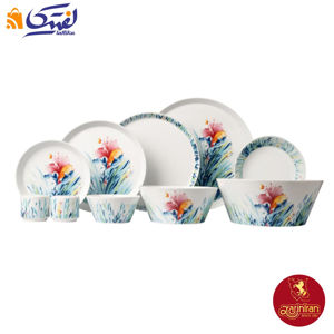 سرویس وی نا فرم اس 31 پارچه چینی زرین