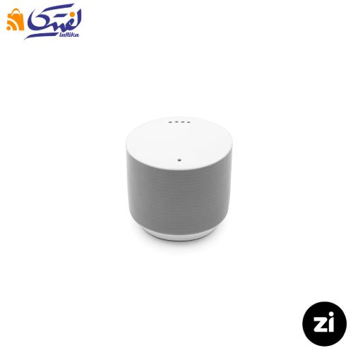 سرویس 5 پارچه نمک فلفل سماق چینی زرین Zi فرم اس پاستل طوسی