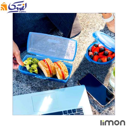 ظرف ساندویچ لیمون