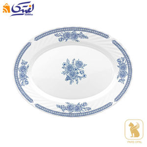 دیس بیضی 1010 آوان پارس اپال کد 144