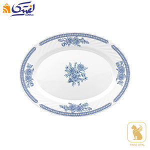 دیس بیضی 1050 آوان پارس اپال کد 144