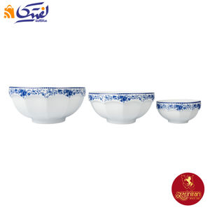 سرویس پیاله فلورنتیا چینی زرین نئوکلاسیک 13 پارچه