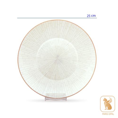 سرویس کد 565 پارس اپال
